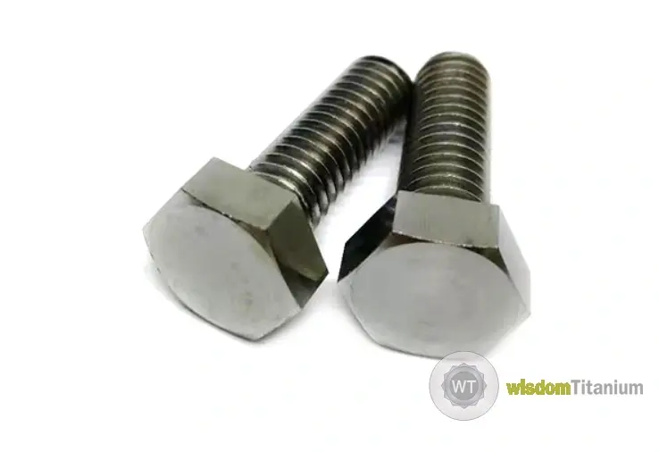 titanium hex head bolt.webp